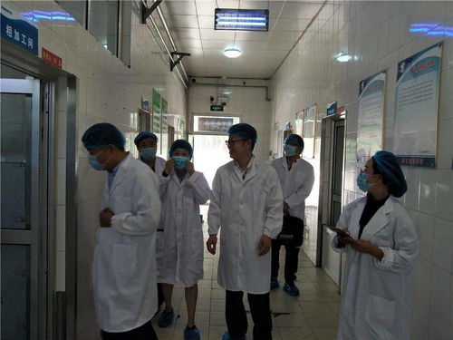 食品安全 學校餐飲服務食品安全等級獲評a級 濟南旅游學校食品安全順利通過市級專項檢查